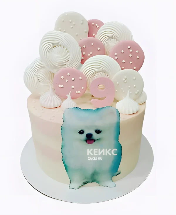 Торт шпиц с безе и фотопечатью Фото