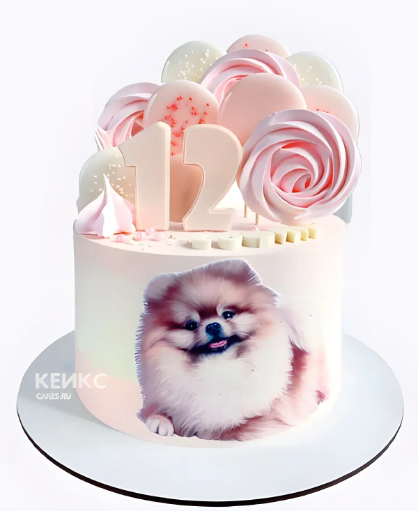 Торт шпиц с безе на 12 лет Фото