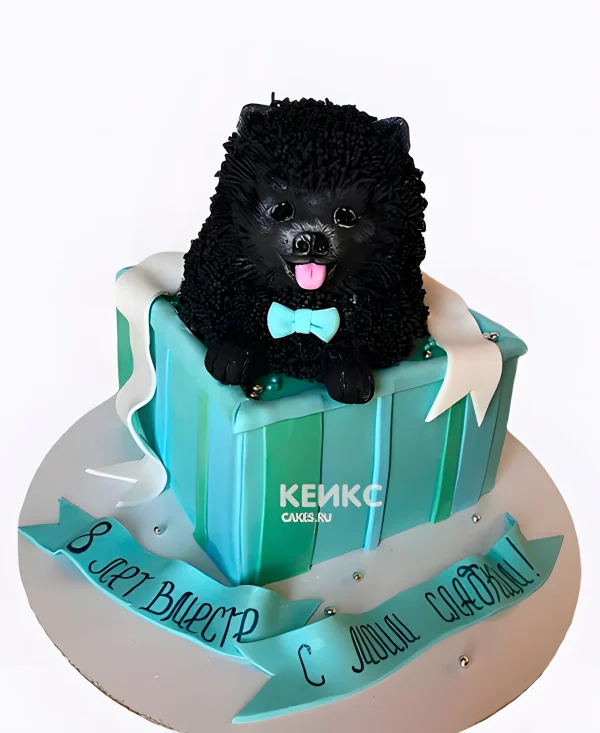 Торт в виде подарочной коробки с черным шпицем Фото