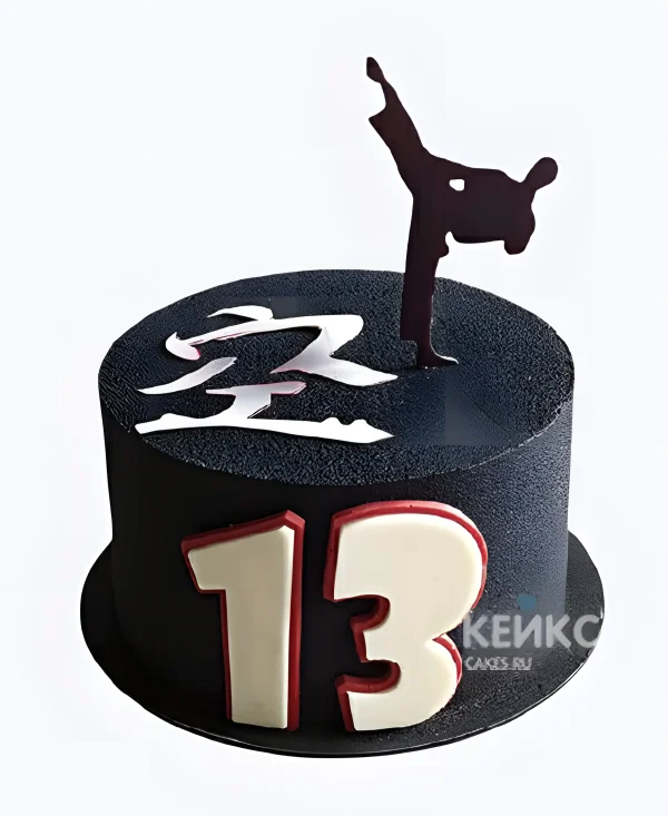 Велюровый торт мальчику на 13 лет каратэ Фото