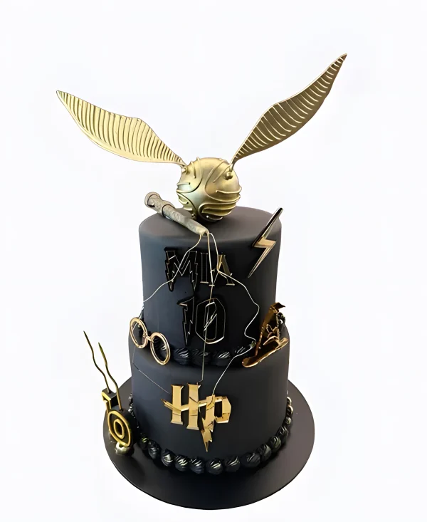 Черный торт для фанатов Гарри Поттера Фото