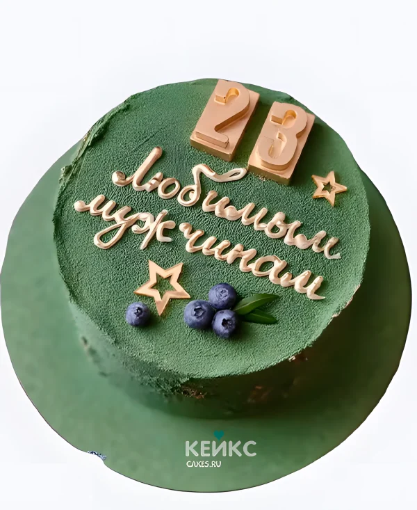 Бенто торт на 23 февраля с велюровым покрытием Фото