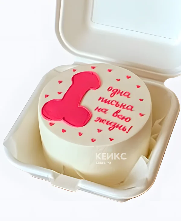 Бенто-торт на девичник Одна на всю жизнь Фото