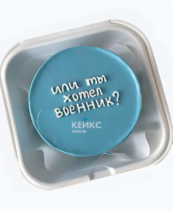 Бенто-торт парню Или ты хотел военник Фото