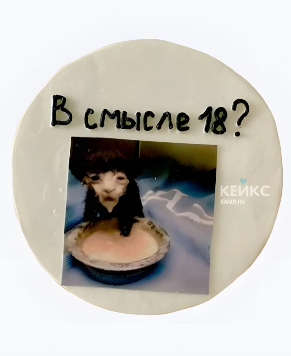 Бенто-торт парню В смысле 18 Фото