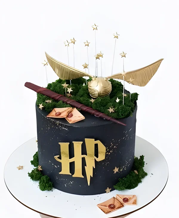 Черный тортик по Гарри Поттеру со звездочками и сничем Фото