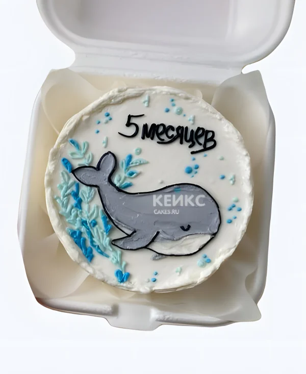 Детский бенто торт на 8 месяцев с дельфином Фото