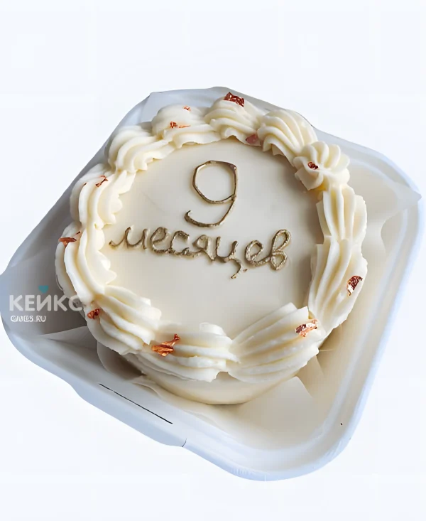 Детский бенто торт на 9 месяцев Фото