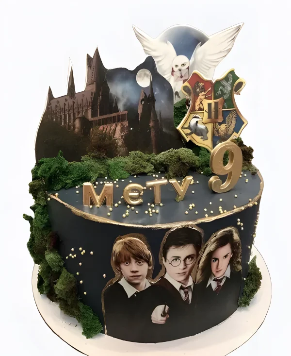 Фантастический тортик с персонажами Гарри Поттера и совой Фото
