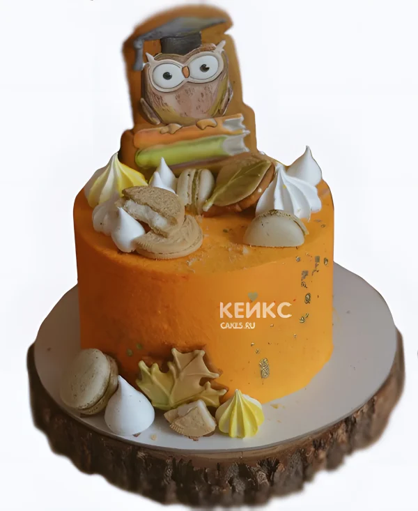 Яркий оранжевый торт на 1 сентября с совой Фото