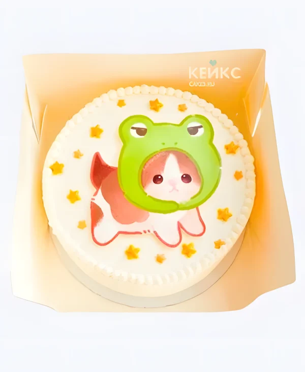 Милый бенто-торт с котиком в лягушачьей шапке Фото