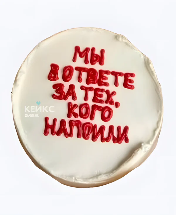 Прикольный бенто-торт Мы в ответе Фото