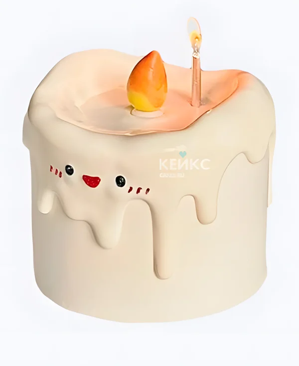 Прикольный торт свеча на юбилей Фото