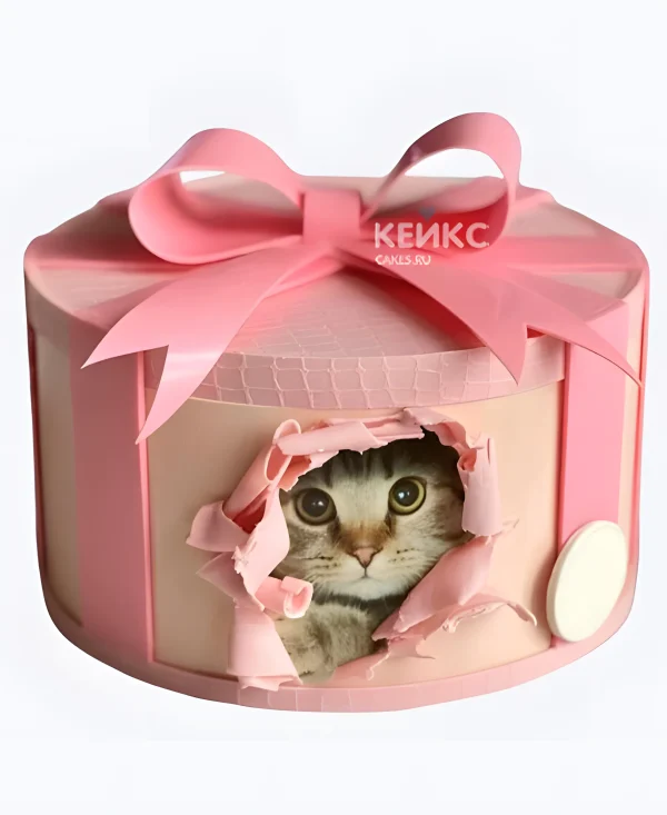 Прикольный торт в виде коробки с котиком Фото