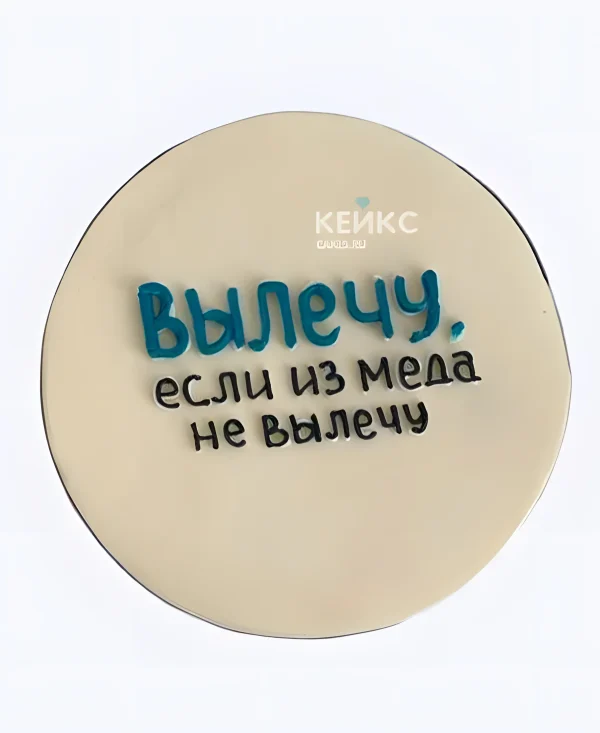 Смешной бенто-торт будущему врачу Фото