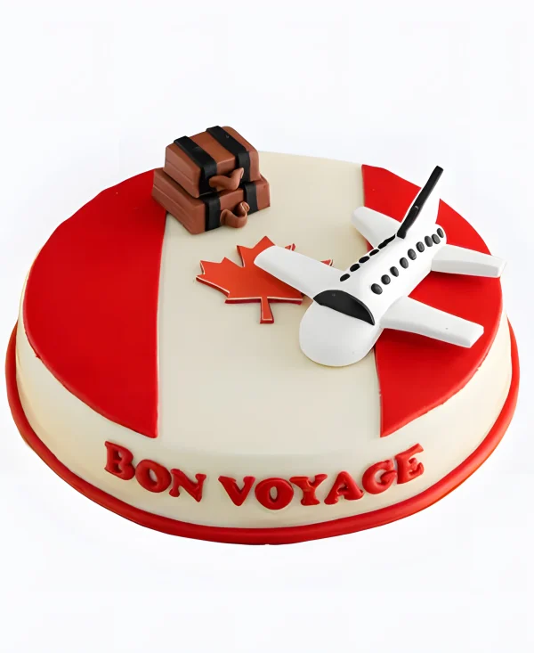 Торт коллегам Самолет с чемоданами Фото