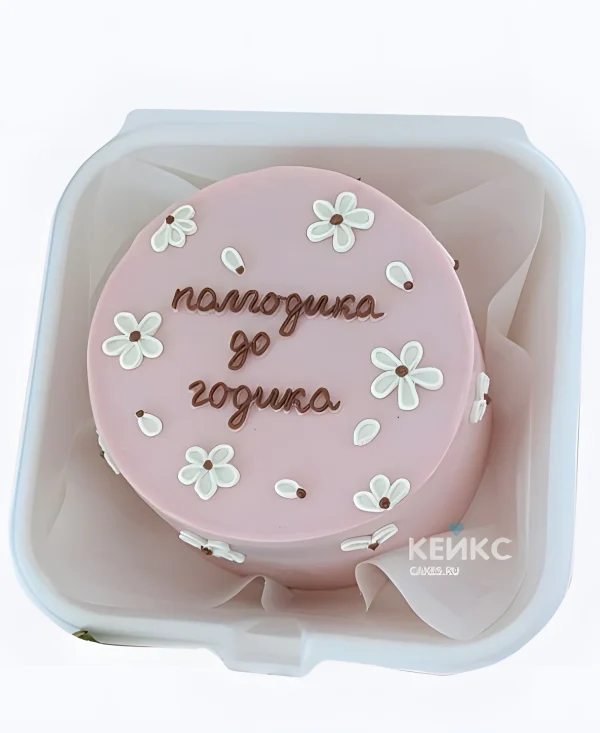 Бенто-торт на полгода девочке Ромашки на розовом Фото