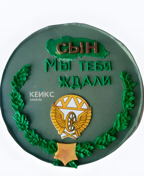 Торт на дембель для сына с надписью Фото