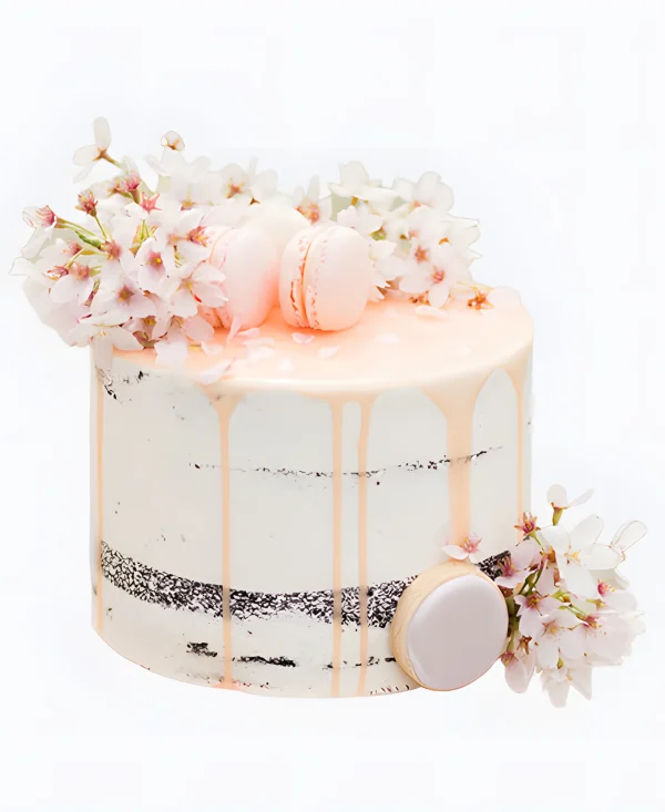 Торт Нежный дрип Фото