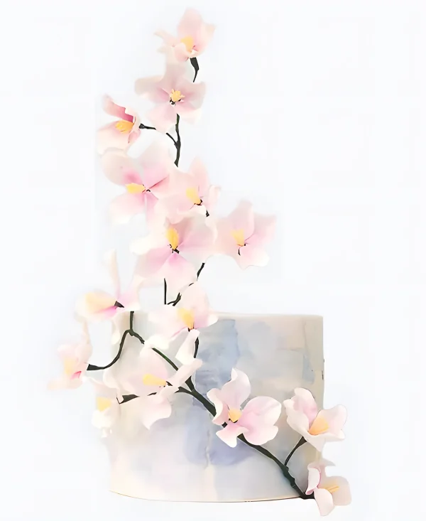 Торт Пробуждение нежности Фото