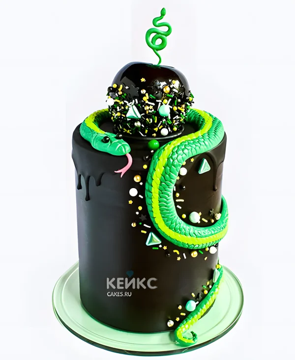 Стильный торт со змеей Фото