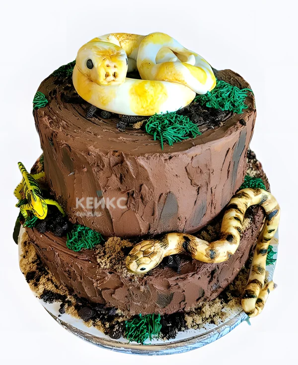 Торт Змеи на дереве Фото