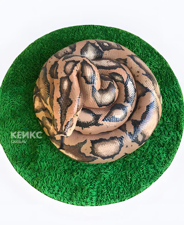 Торт Змея на травке Фото