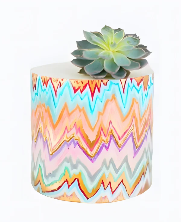 Торт Суккулент и краски Фото