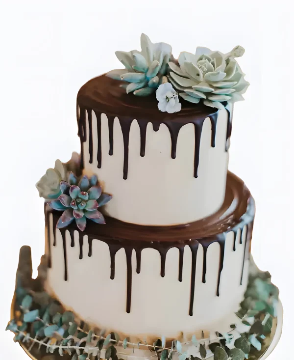 Торт Суккуленты в шоколаде Фото