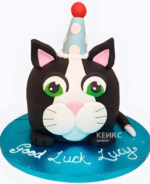 Торт в виде черного котика в колпаке Фото