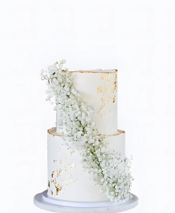 Трендовый свадебный торт с гипофилой Фото