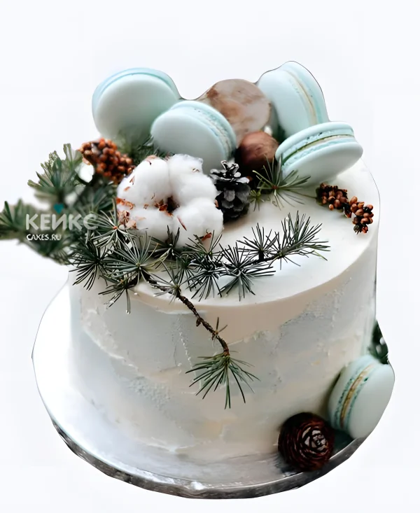 Зимний свадебный торт с макарунс Фото