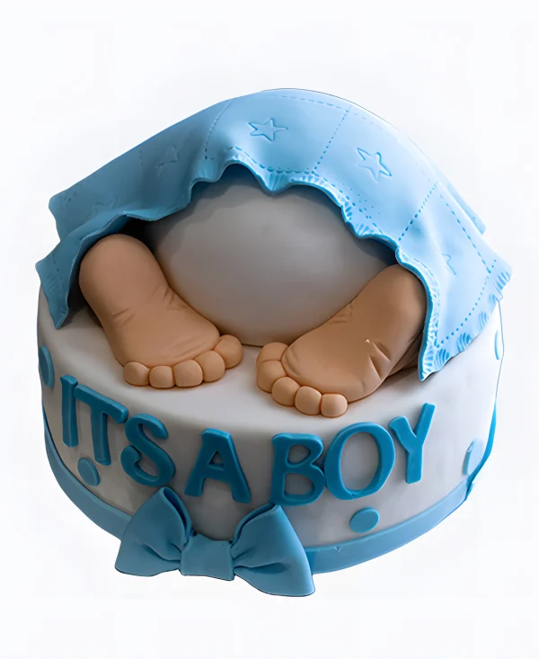 Торт Ножки под голубым пледом Фото