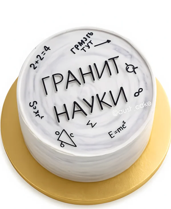 Торт школьнику с рисунками формул Фото