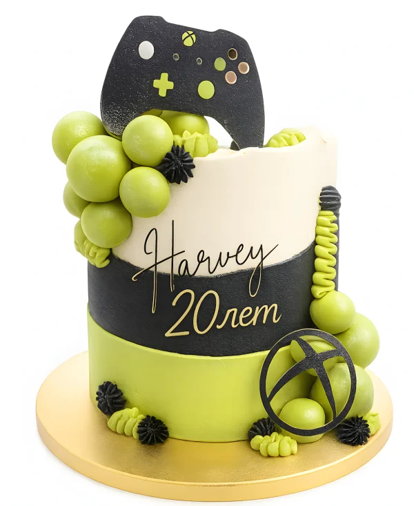 Зеленый торт с шоколадными шарами Фото