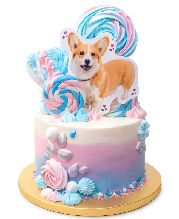 Детский торт со щенком корги и сладостями Фото