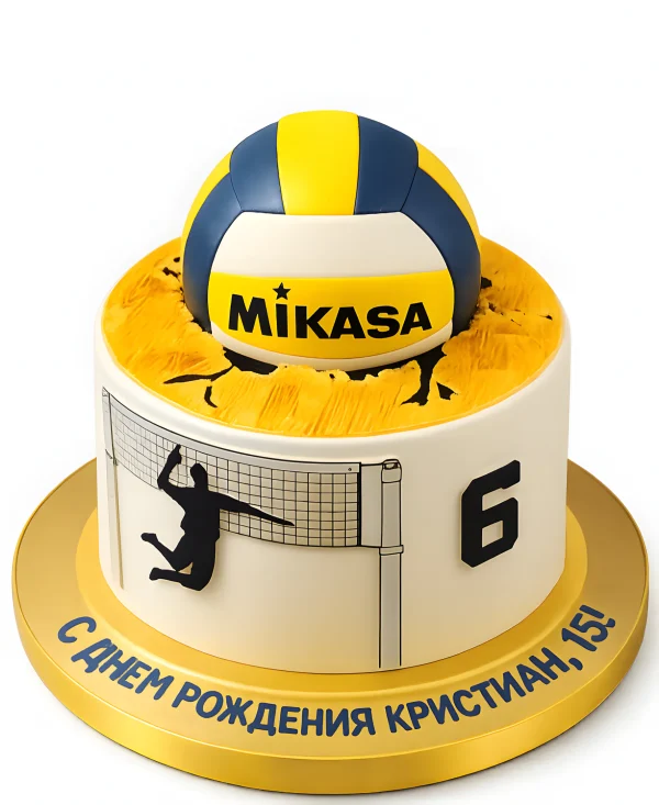 Торт в стиле волейбола с мячом Фото